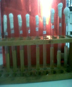 F:\foto-foto\air sumur fix.jpg