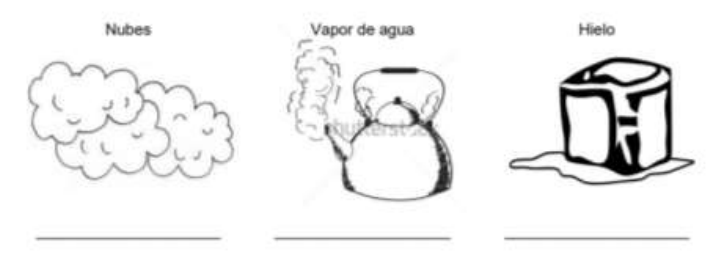 Dibujo en blanco y negro

Descripción generada automáticamente con confianza media