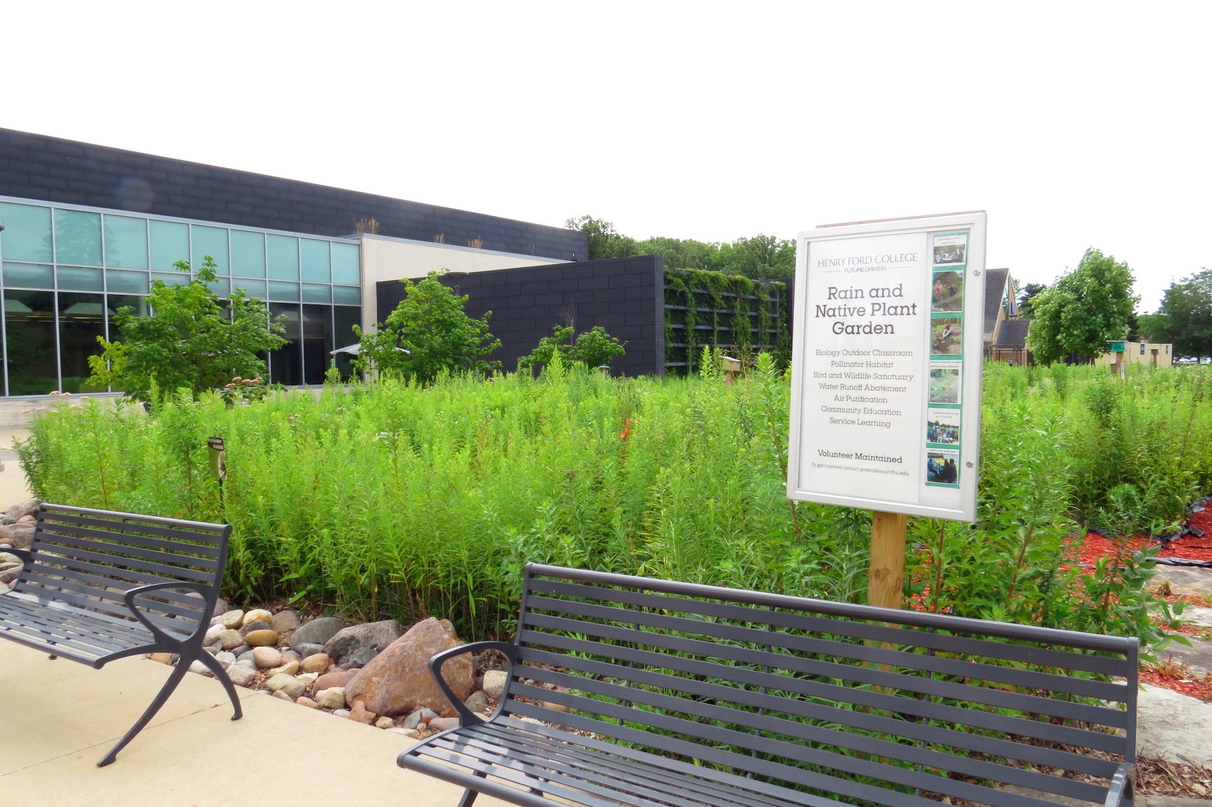 Rain Garden bench. Photo by Emily Nietering