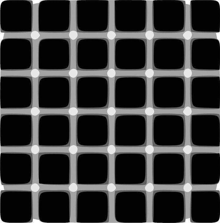 Hermann-Grid Illusion