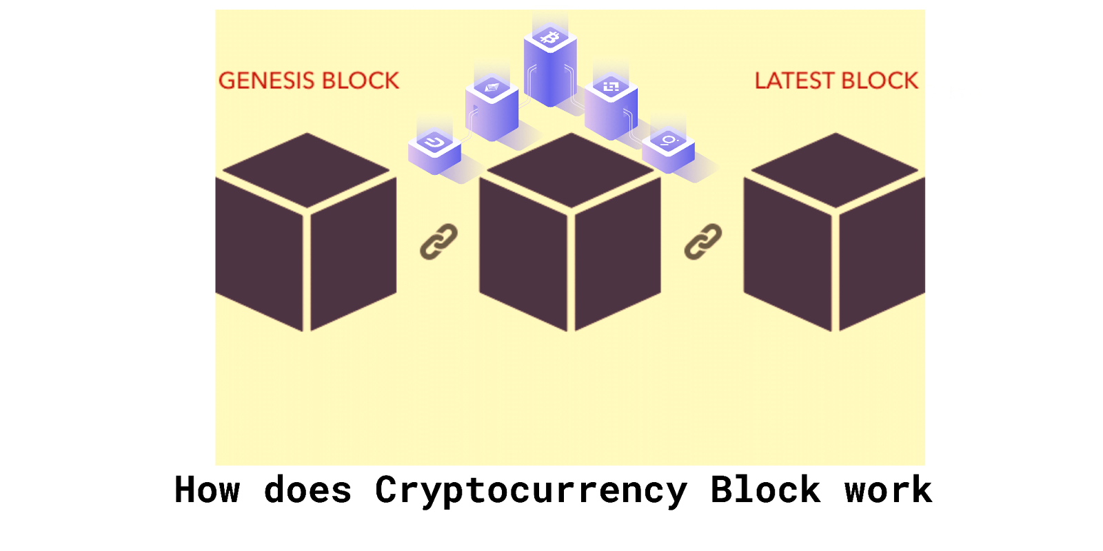 Understanding Cryptocurrency Blocks