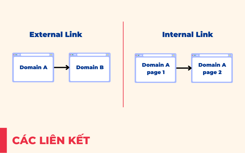 Liên kết External link và internal link