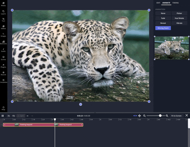 GIF of the Kapwing Studio Editor showing an image of a leopard. The image is zoomed in on as the project is played.