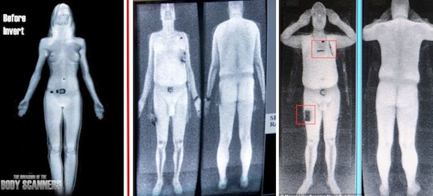 What Can Airport Scanners Detect? – Can They Detect Gold or Drugs? –  HighSkyFlying