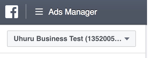 Facebook access Ad Manager