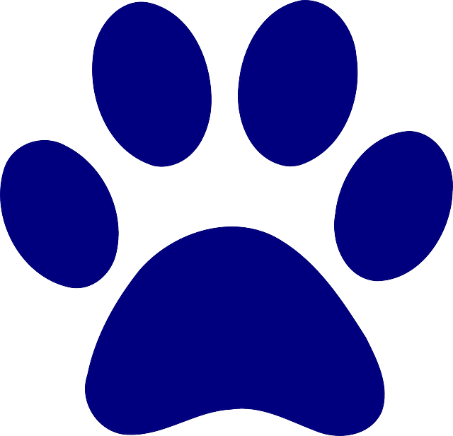 Print, Dog, Bear, Paw, Blue