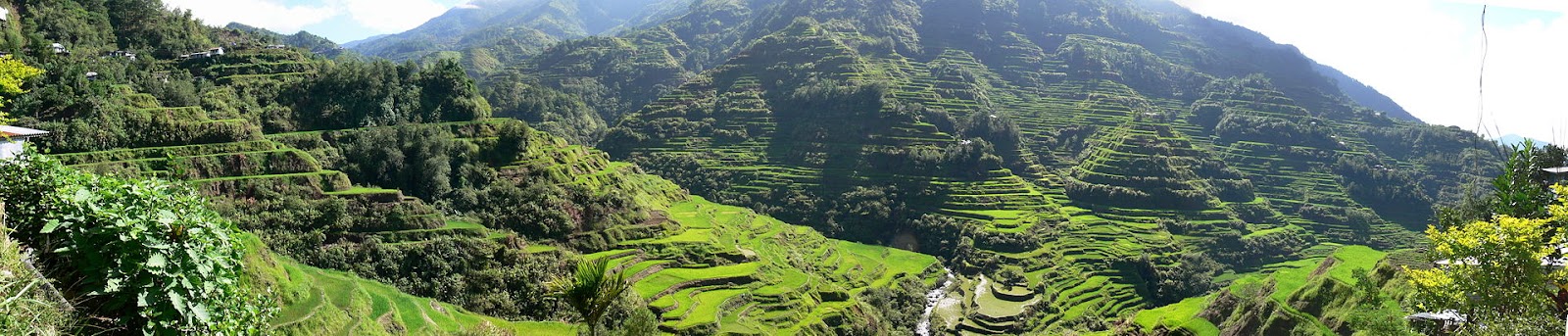 Banaue_Rice_Terraces.jpg