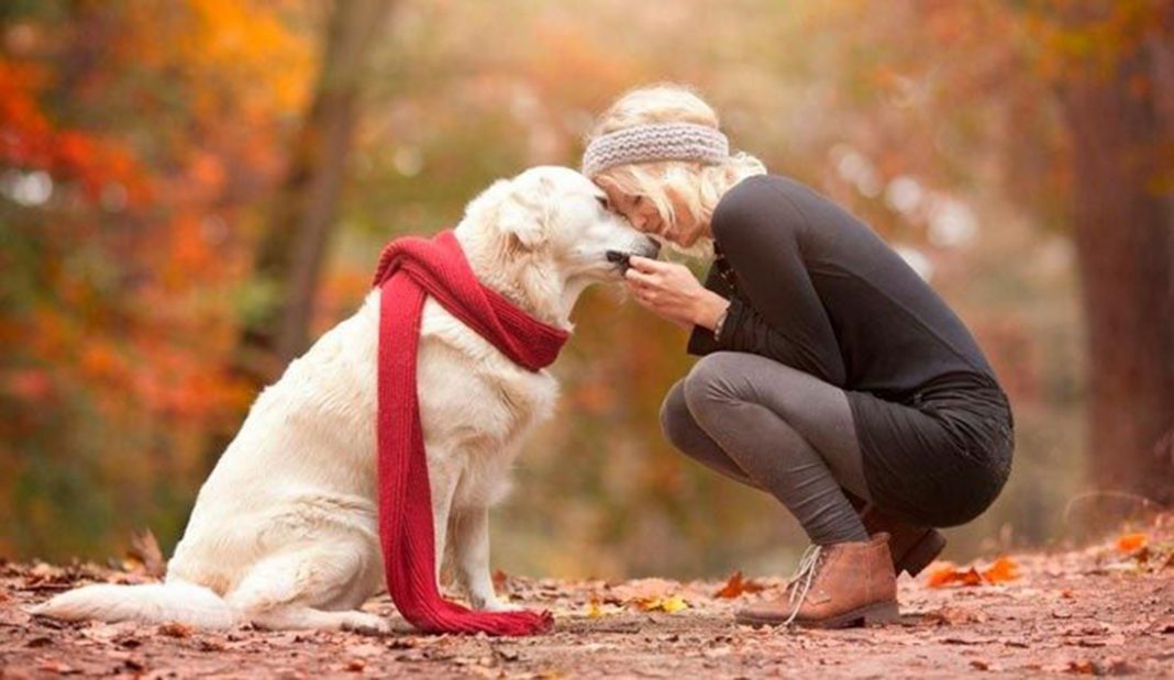 EL AMOR INFINITO DE LOS PERROS