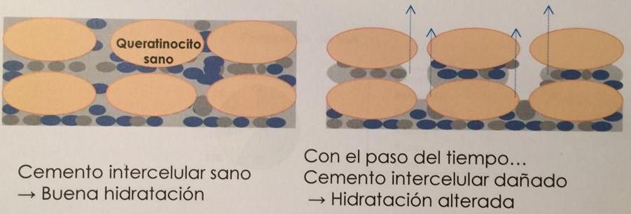 Gráfico de burbujas  Descripción generada automáticamente