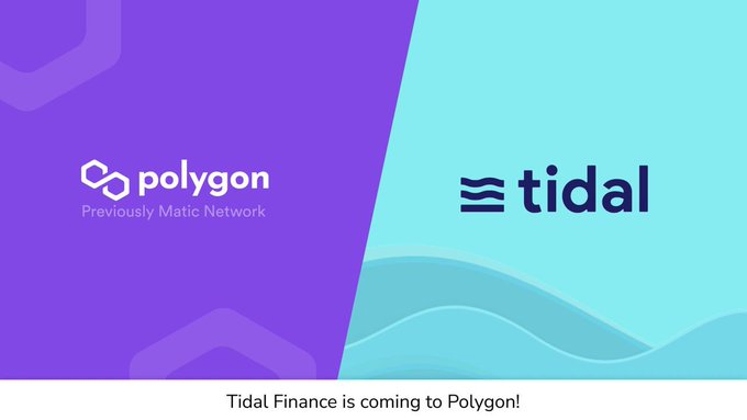 Tidal x Polygon