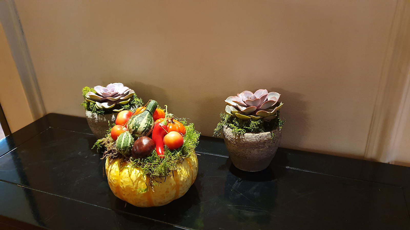 A succulent pumpkin table flower arrangement by Kimberleys The Florist
