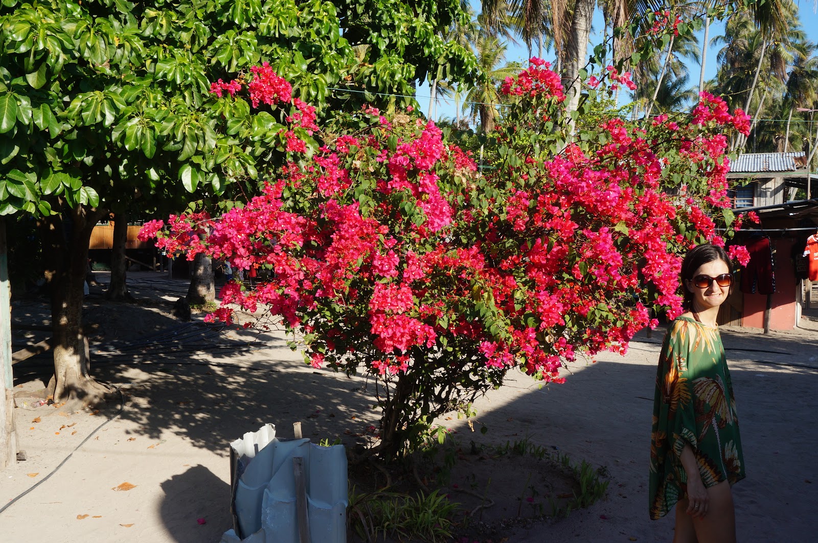 DSC08192.JPG