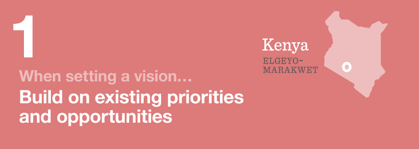 When setting a vision Build on existing priorities and opportunities
