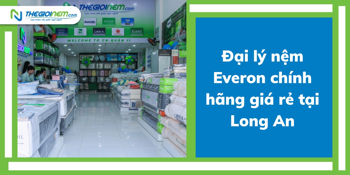 Đại Lý Nệm Everon Chính Hãng Giá Rẻ Tại Long An