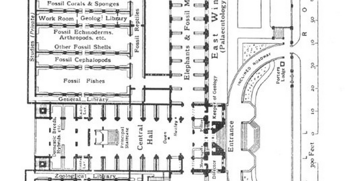 London Natural History Museum Map pdf Google Drive