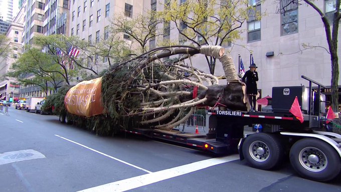 Hân hoan chào đón Giáng sinh, cây thông 2017 của Trung tâm Rockefeller đã có mặt