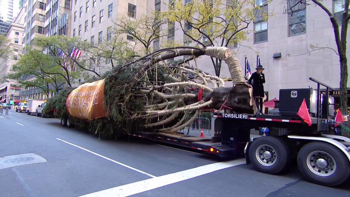 Hân hoan chào đón Giáng sinh, cây thông 2017 của Trung tâm Rockefeller đã có mặt