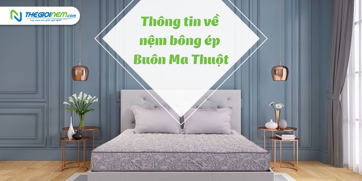 Cửa hàng bán nệm bông ép Buôn Ma Thuột | Thegioinem.com