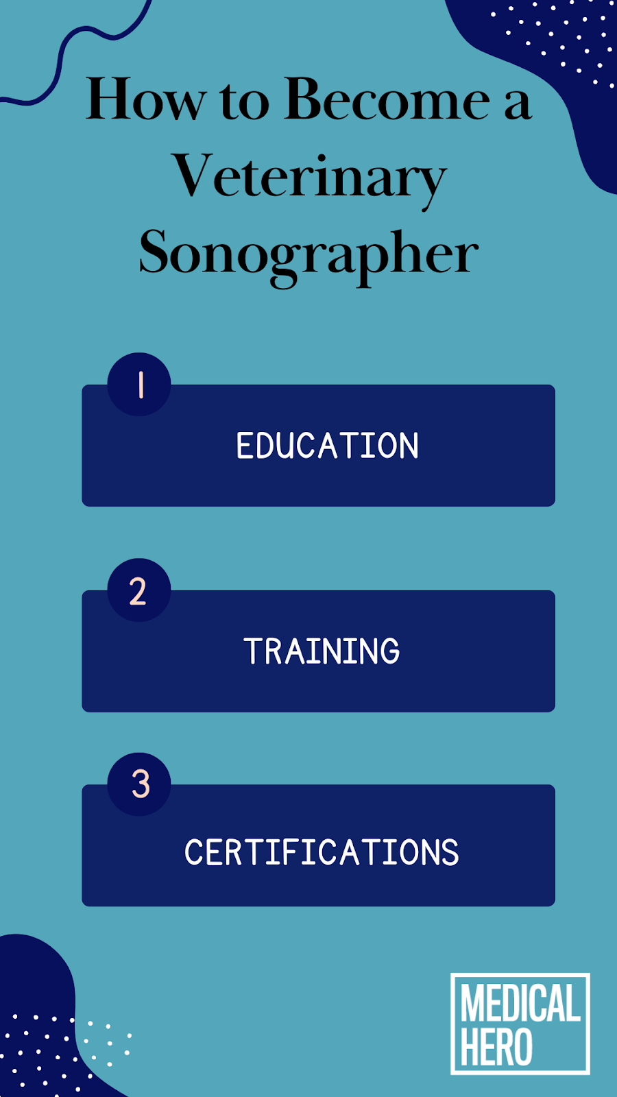 How to Become a Veterinary Sonographer