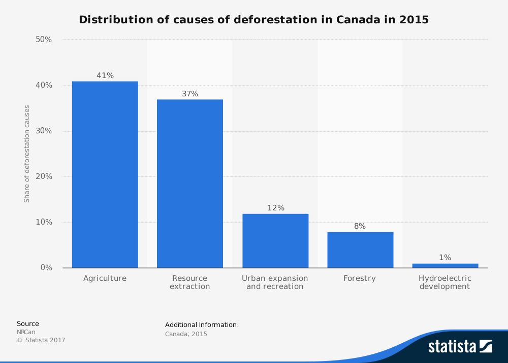 Causas de las estadísticas de deforestación