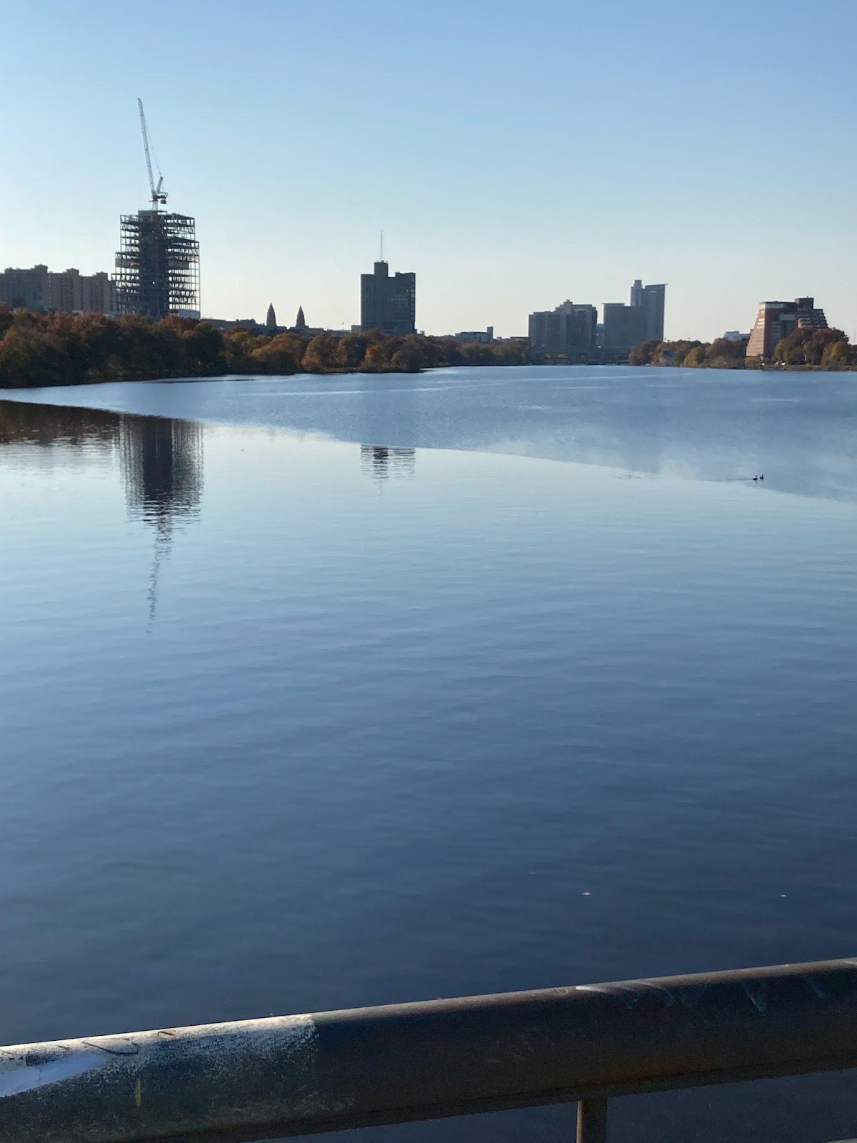 A serene view of the Charles River and the Boston/Cambridge horizon.