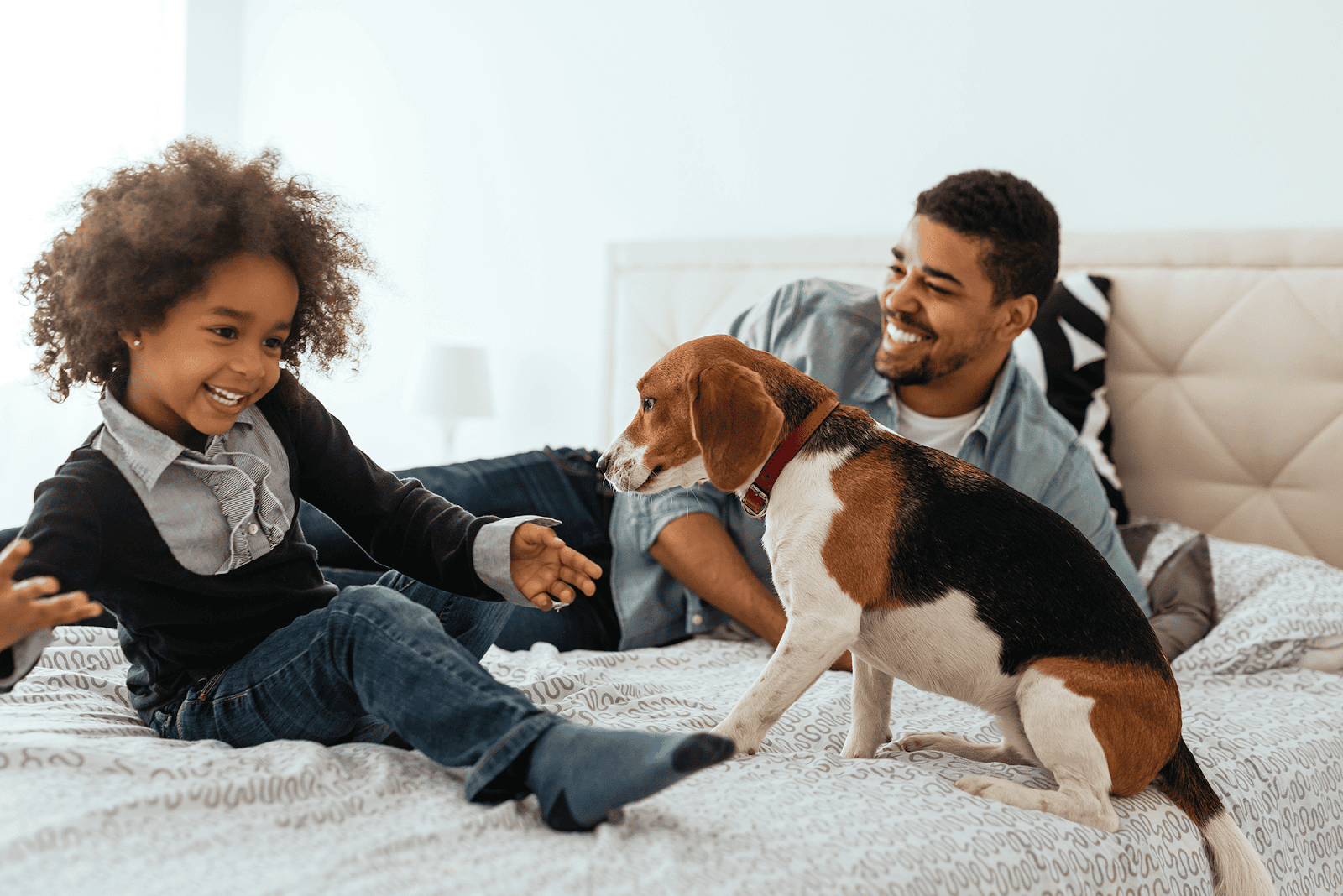 15+ fun facts about pet ownership