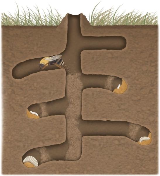 A picture containing tableware Description automatically generated
