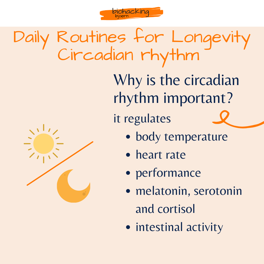 Warum ist der circadiane Rhythmus wichtig?