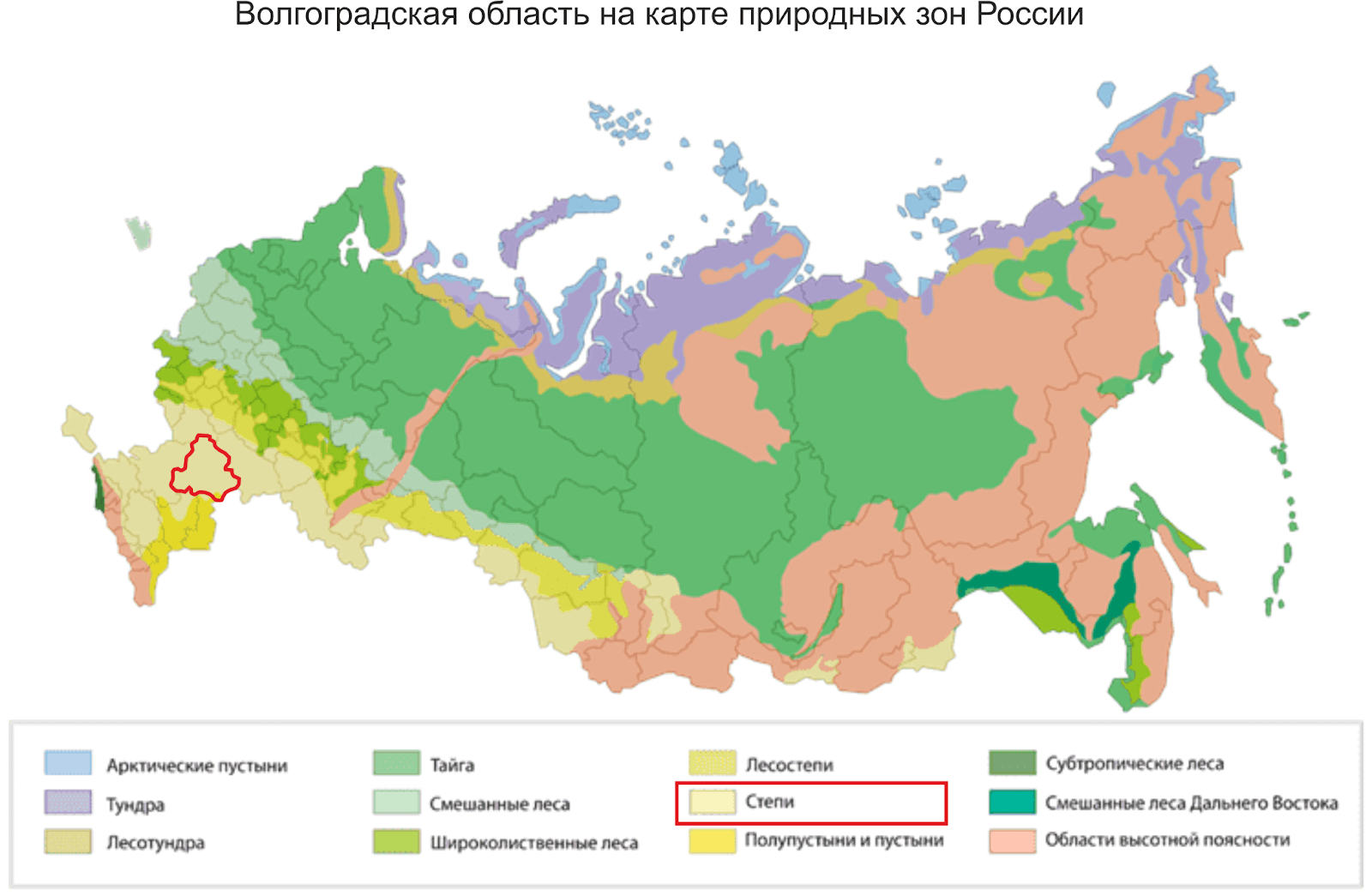 Какие территории россии занимает зона степи. Карта природных зон России. Карта природных зон России субтропики. Контурная карта Лесные зоны России. Широколиственные леса географическое положение в России на карте.