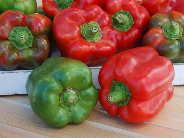 Jupiter Pepper