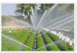 A water sprinkler spraying water on a fieldDescription automatically generated with low confidence