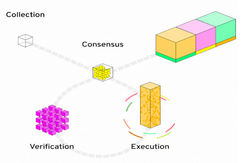 Four types of nodes, incuding consensus, collection, vertification, execution