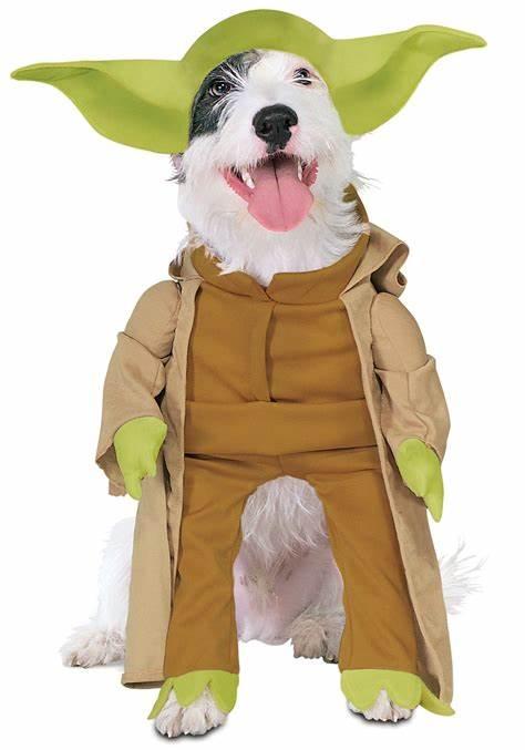 Master Yoda Puppy Costume