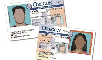 [image is of two sample Oregon Driver's License cards, with faces blurred]
