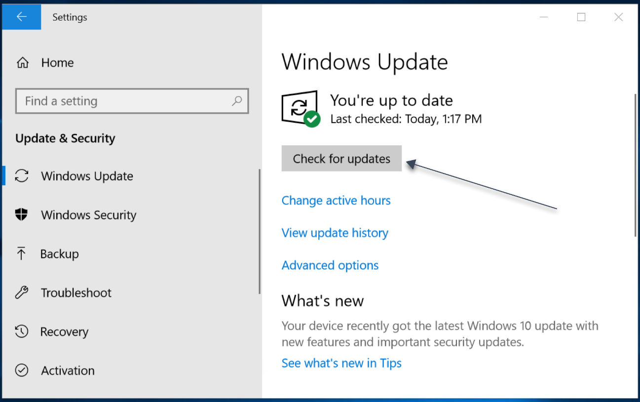 How to check for updates in Windows 10?