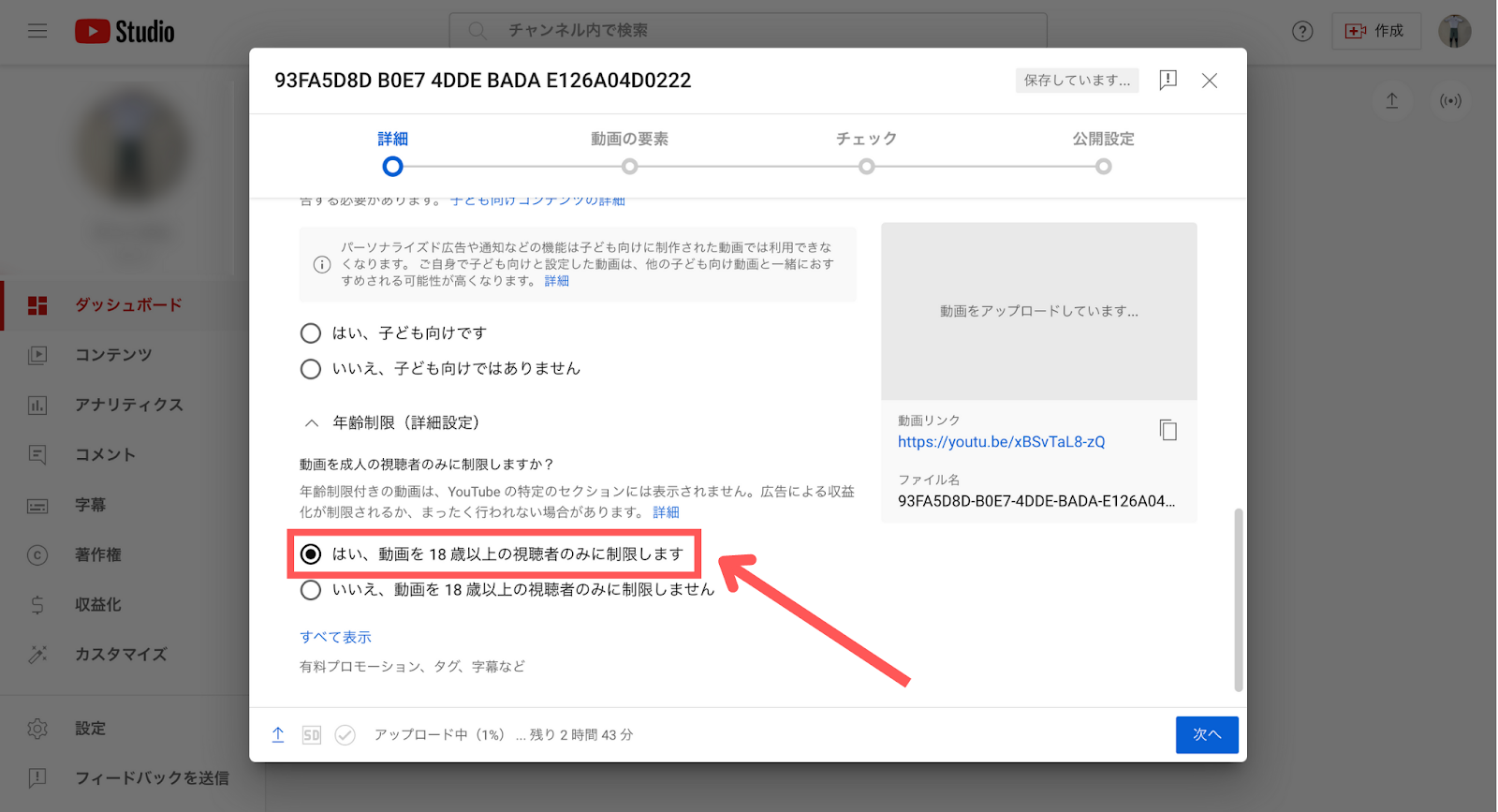 YouTube 年齢制限
