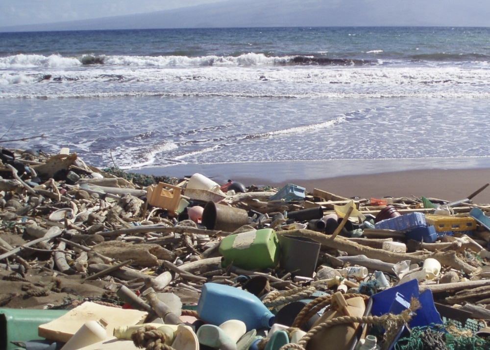 Plastic Waste In Oceans 