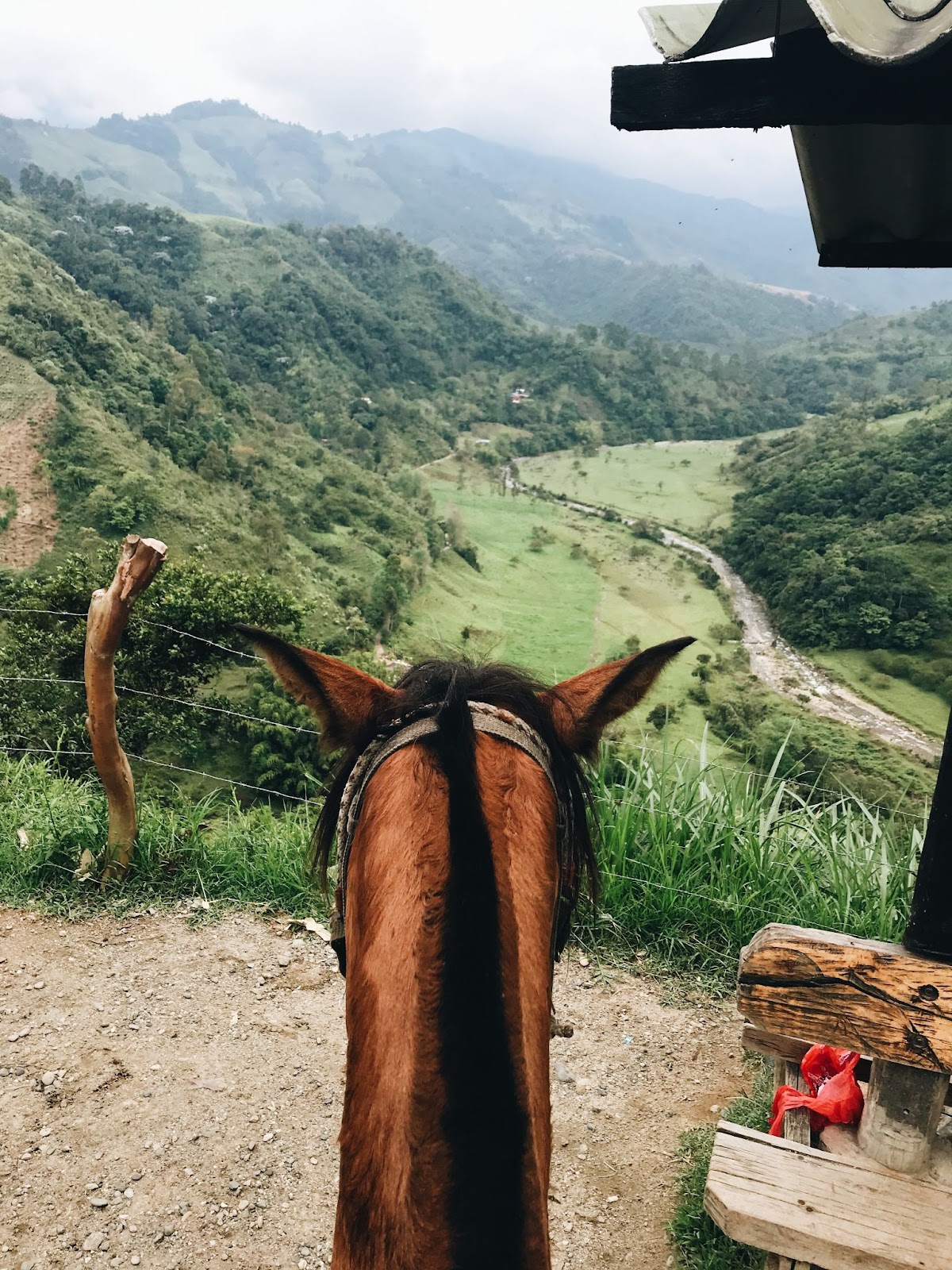 montar a caballo