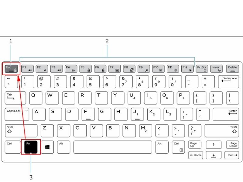 Bật tắt phím Fn ngay trên bàn phím của laptop Dell