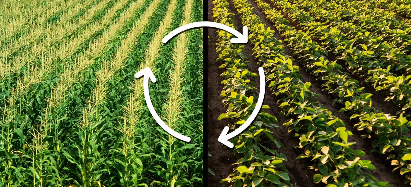 What is crop rotation