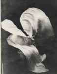 loie-fuller-elsa