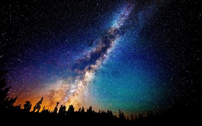 Milky Way above the fir forest Wallpaper