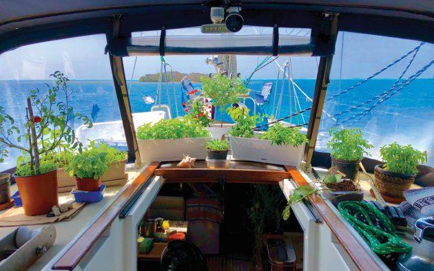 growing-food-on-boats-herb-garden-credit-Rick-Moore