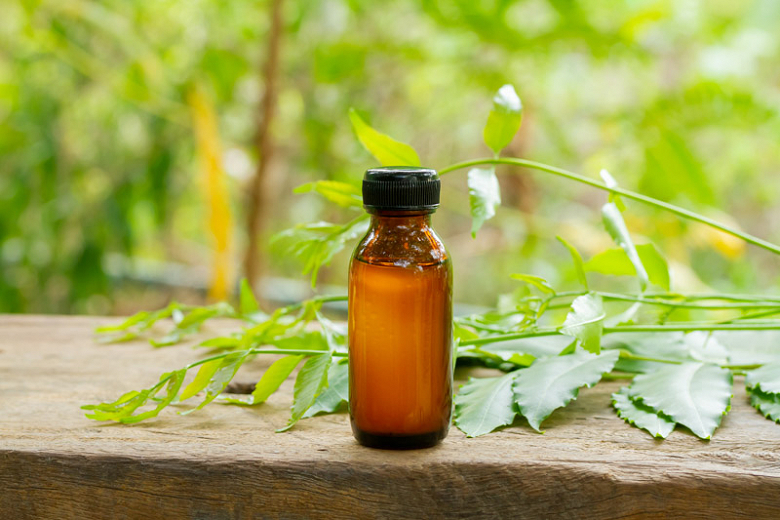 Use a neem oil solution on pepper plants