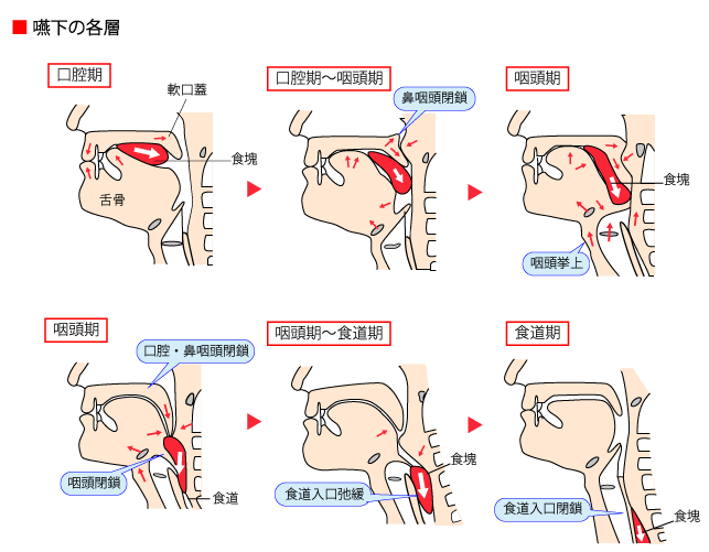 ソース画像を表示