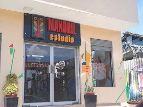 MANDRIL ESTUDIO