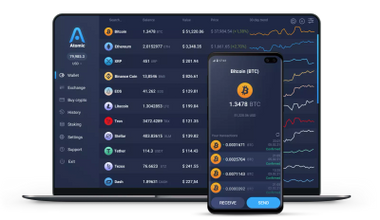 cryptocurrency_ bitcoin _wallet-380w