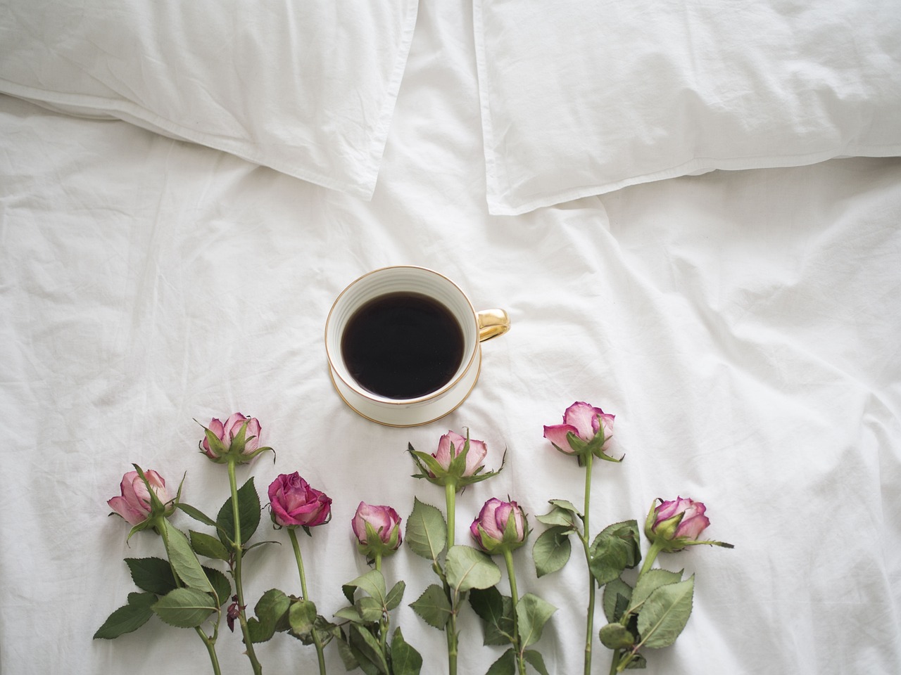 コーヒー　ベッド　花