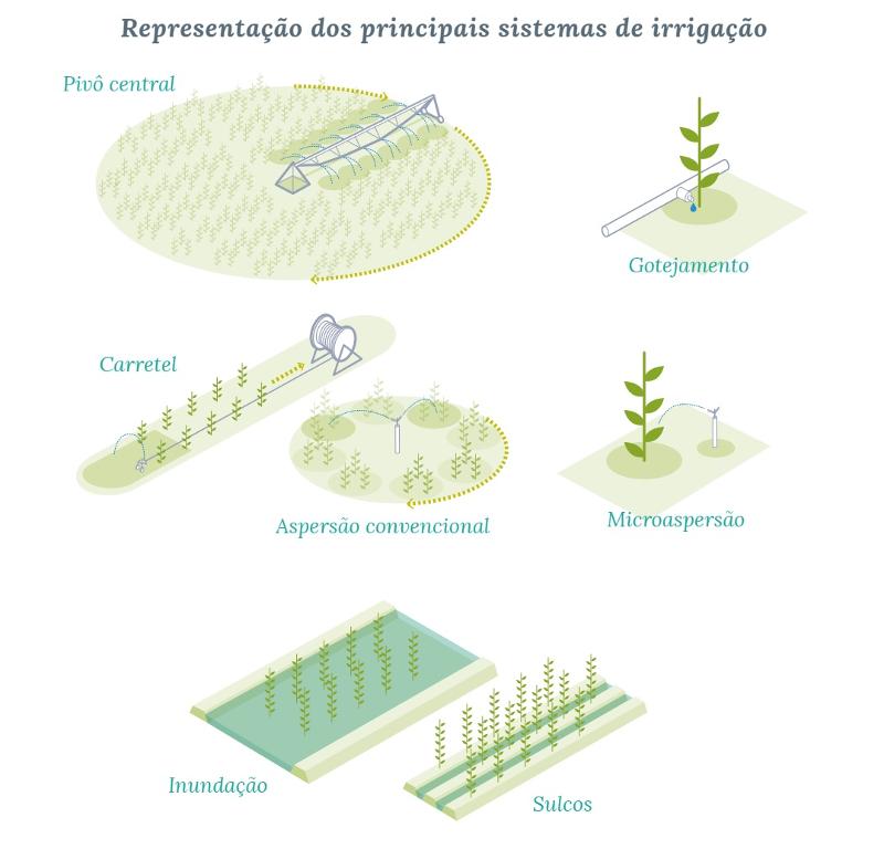Fruticultura irrigada: veja os principais sistemas de irrigação