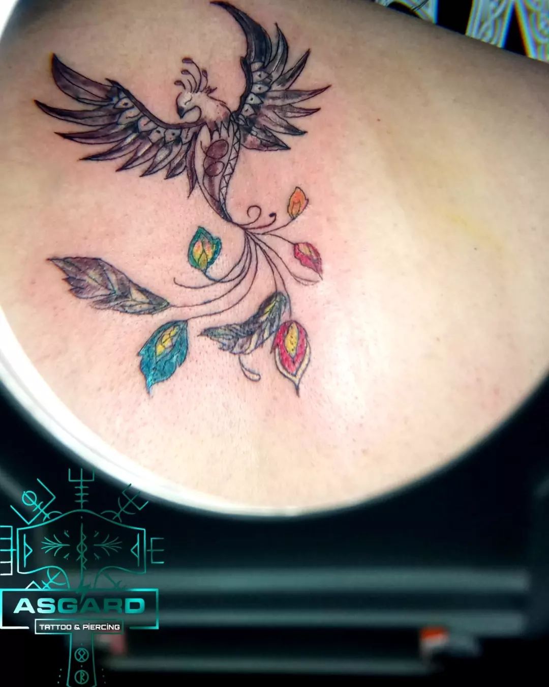 Phoenix Tattoo With Colorful Feathers